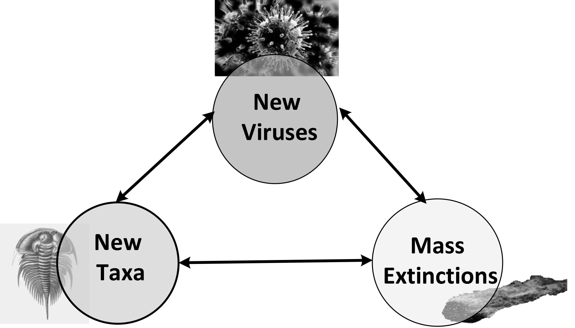 Correlatie tussen nieuwe taxa, nieuwe virussen en massa-extincties