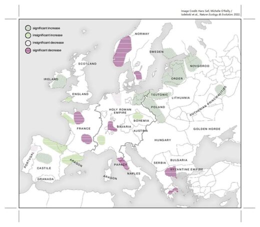 Europe gedurende de Zwarte Dood