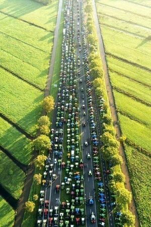 Dutch Farmers