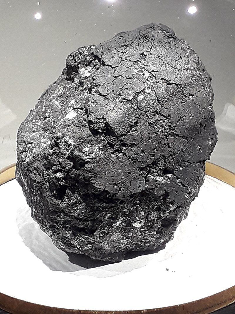 Eunostos Een brokstuk van de Orgueil-meteoriet, tentoongesteld in het museum van Montauban​