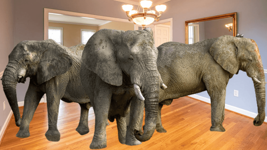 olifanten in de kamer