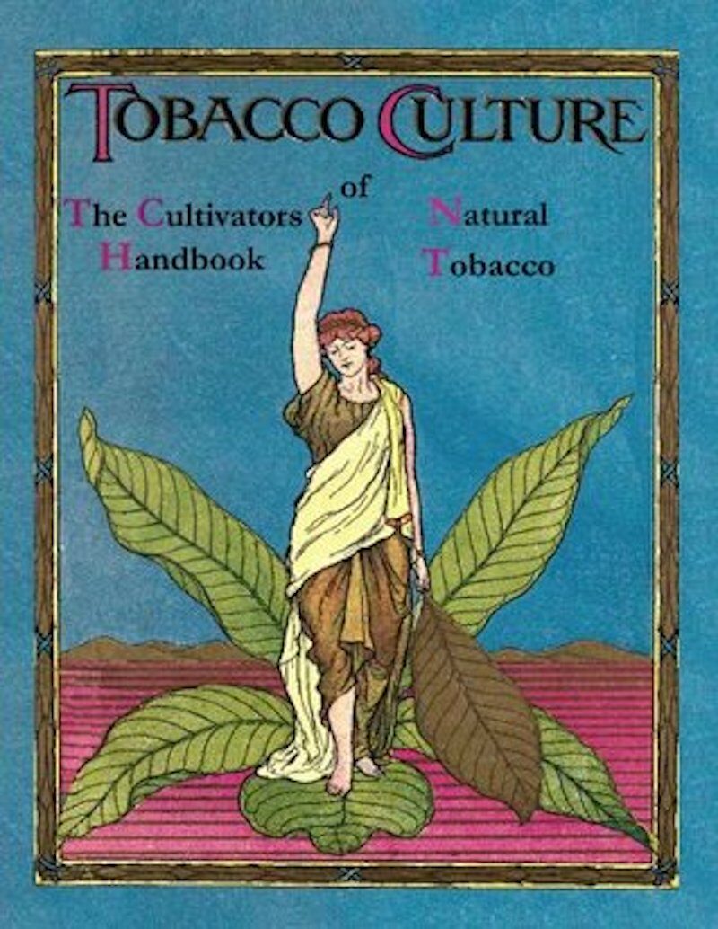 kweken van tabak