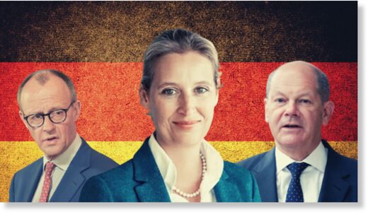 Klik om te vergroten Weidel Merz Scholz