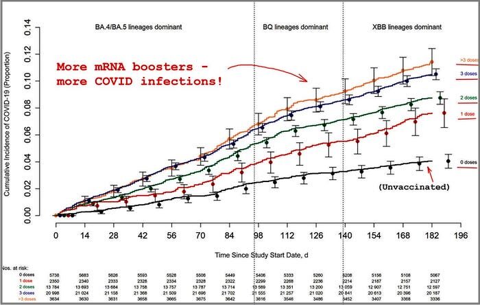 mRNA-grafiek