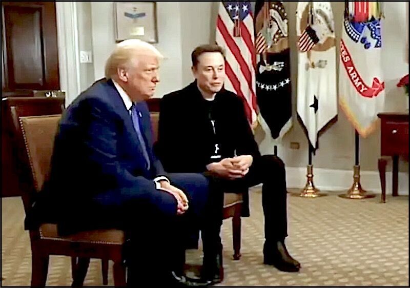 Klik om te vergroten TrumpMusk