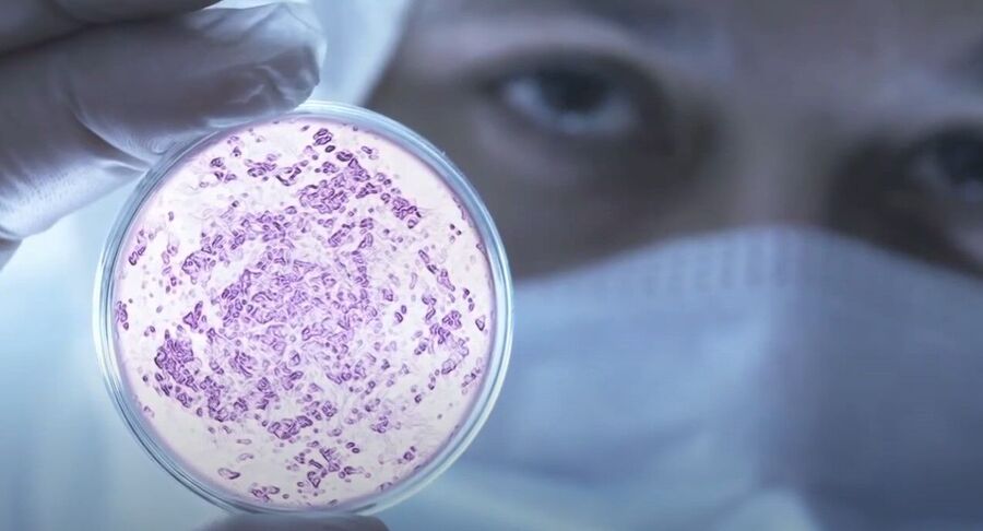 Klik om te vergroten Big Agro & Bayer