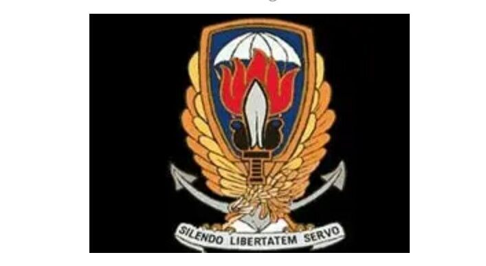 Klik om te vergroten Het embleem van Operation Gladio met het motto “In Stilte Dienen Wij Vrijheid.”