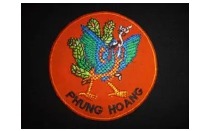 Klik om te vergroten Vietnam-oorlogsembleem voor het Phoenix Patrol-programma van de CIA