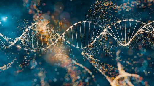dna hantavirus